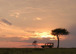 10 Reasons to Plan a Safari Trip to Kenya’s Fairmont Mara Safari Club
