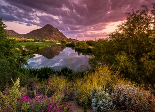 A Desert Oasis: How Fairmont Scottsdale Princess Transforms the Arizona Desert