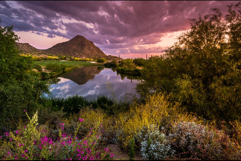 A Desert Oasis: How Fairmont Scottsdale Princess Transforms the Arizona Desert