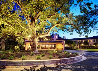 Exploring California's Wine Country