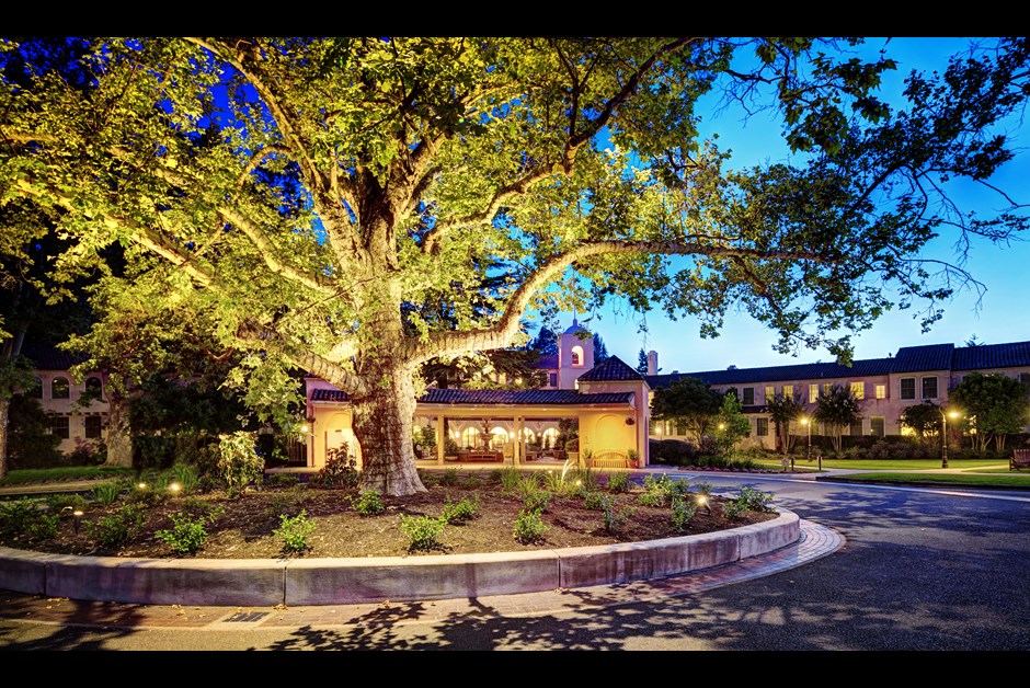 Exploring California's Wine Country