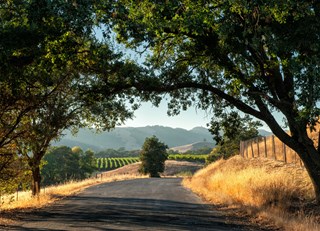 Agritourism: Wining, Dining and Farm-Tromping in Sonoma  