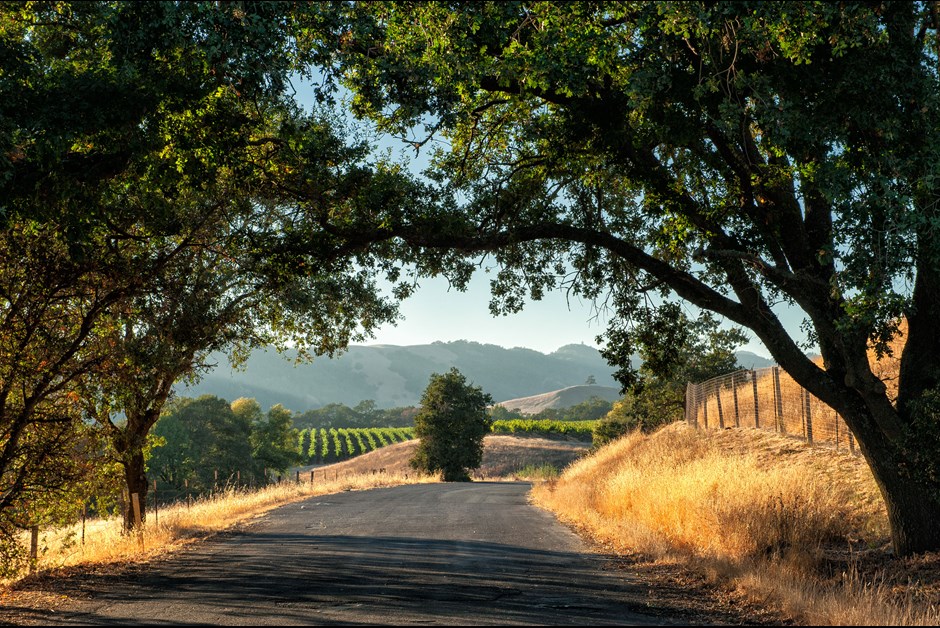 Agritourism: Wining, Dining and Farm-Tromping in Sonoma