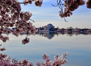 Springtime in the District: A Washington, D.C. Getaway