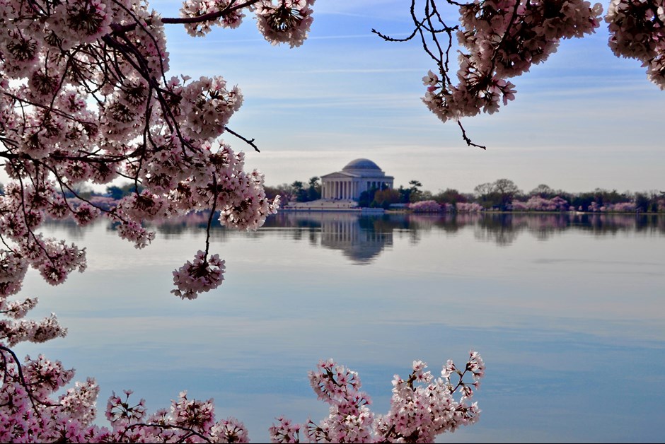 Springtime in the District: A Washington, D.C. Getaway