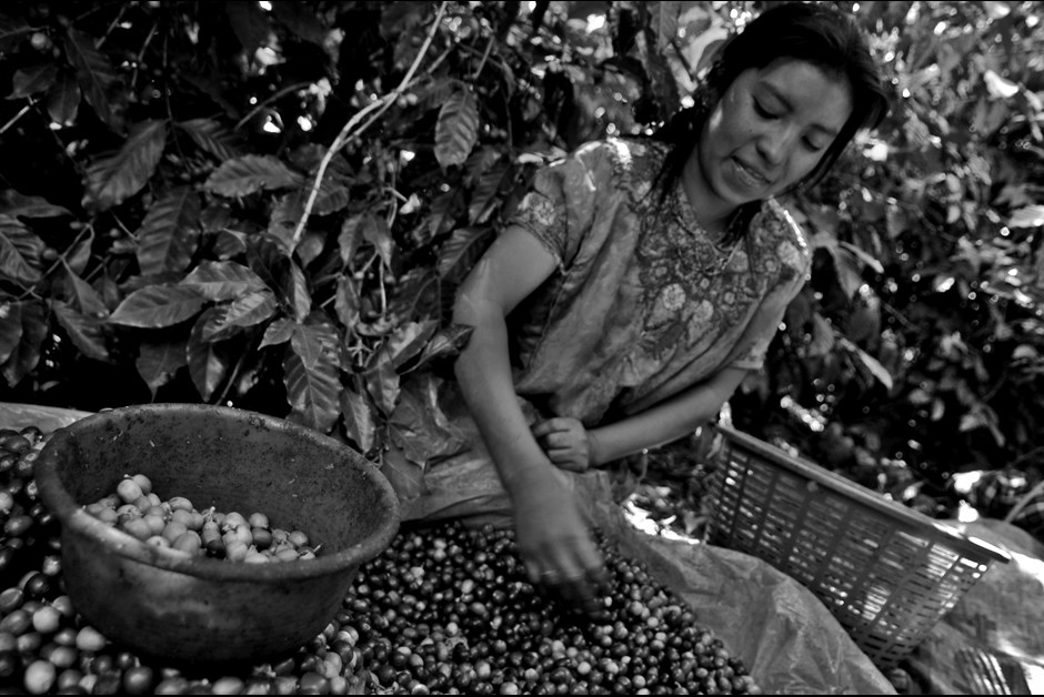 A One-of-a-Kind Artisanal Coffee Partnership