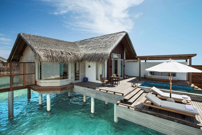 Dive into the Maldives