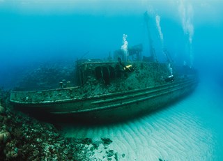 Las islas Bermudas&#161;: Una Historia de Cultura y de Naturaleza