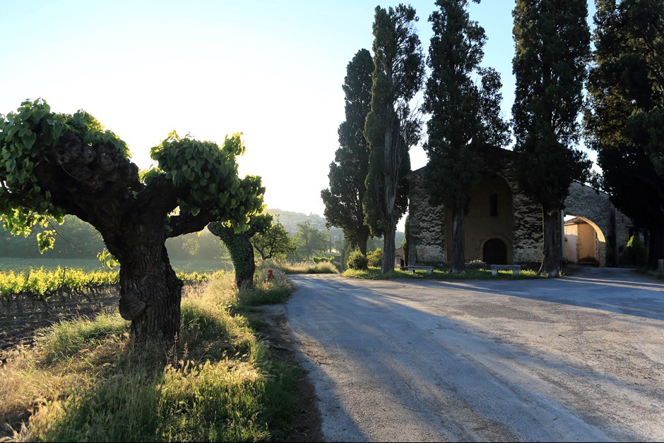Alain Rebuffel's fields