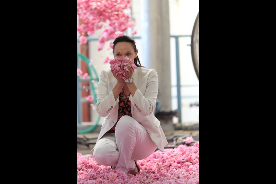 Fairmont President, Jennifer Fox, stops to smell the roses as they are readied for extraction