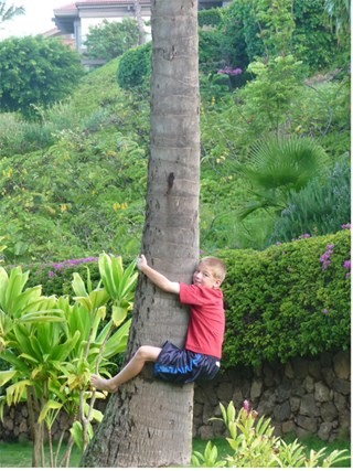 Climbing Hawaiian FUN!!!