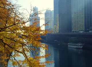 A warm November walk in Chicago