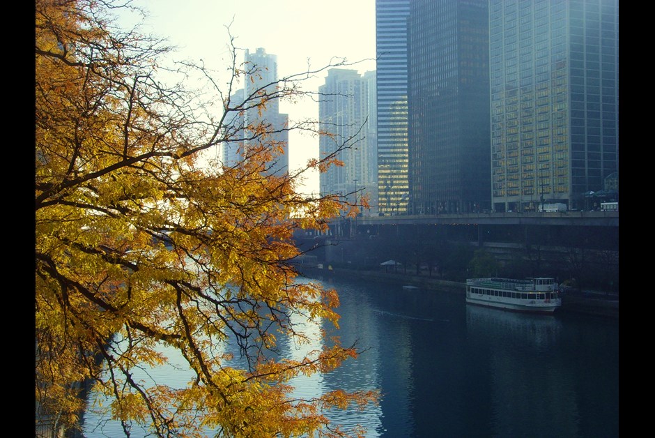 A warm November walk in Chicago