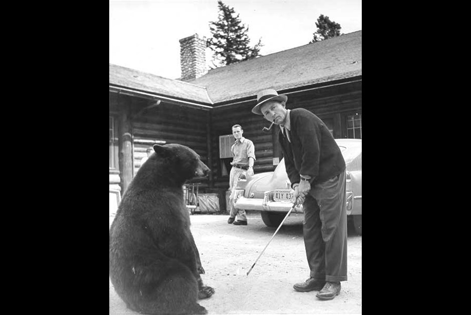 Bing Crosby and the Bear