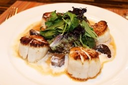 Nantucket Scallops