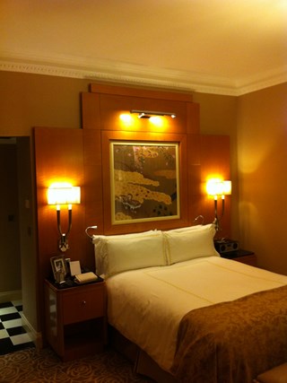 Luxury London Hotel - The Savoy