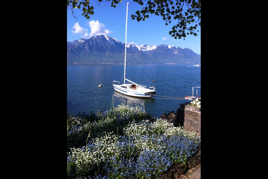 Lake Geneva Hotel view