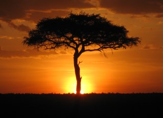 Sunset on the Mara