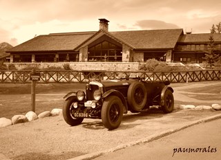 bentley at the lodge in Jasper