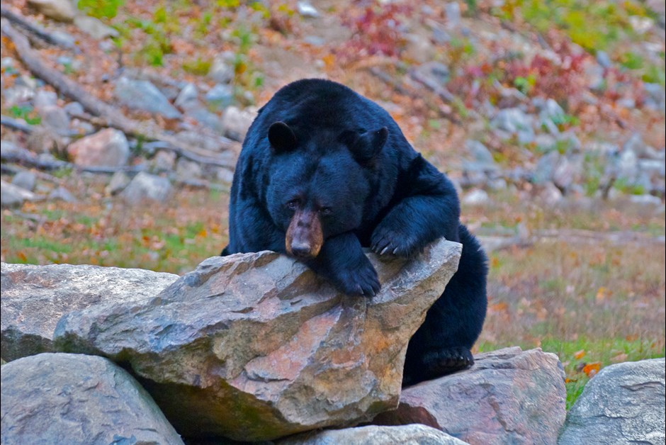 DSC_0027.jpg