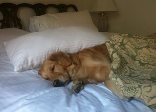 A July 4th to remember...