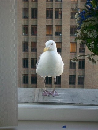 Always Ready To Be Of Service