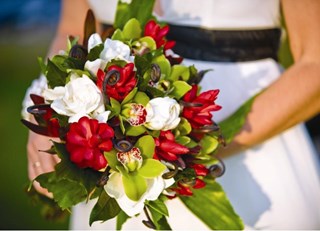 Surprise Engagement Proposal – Captured on Camera!