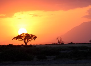 African Sunset