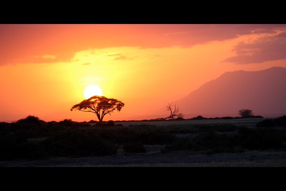 African Sunset