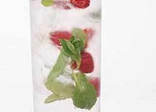 The Holly & Ivy Gin and Tonic