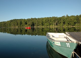 Falling in Love with Nature