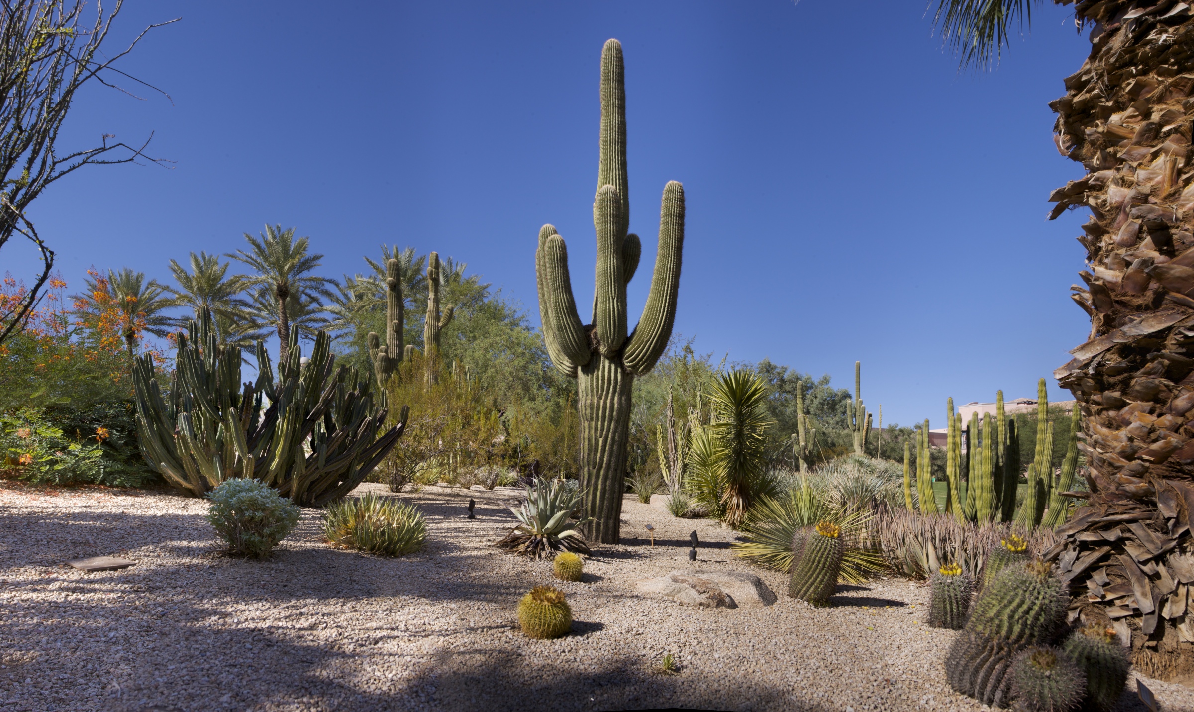 Fairmont Scottsdale Green Team: Fairmont Moments