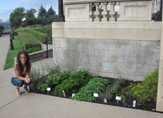 Chef&#39;s Garden