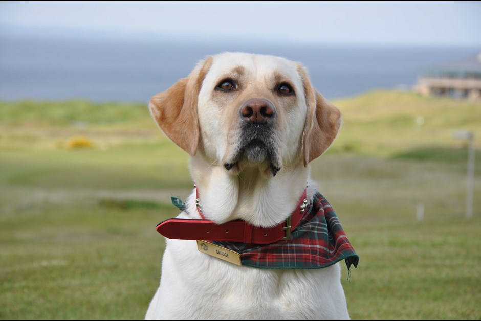 Tail Wagging Trivia from Fairmont St Andrews!