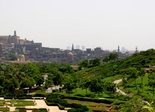 Cairo Oases