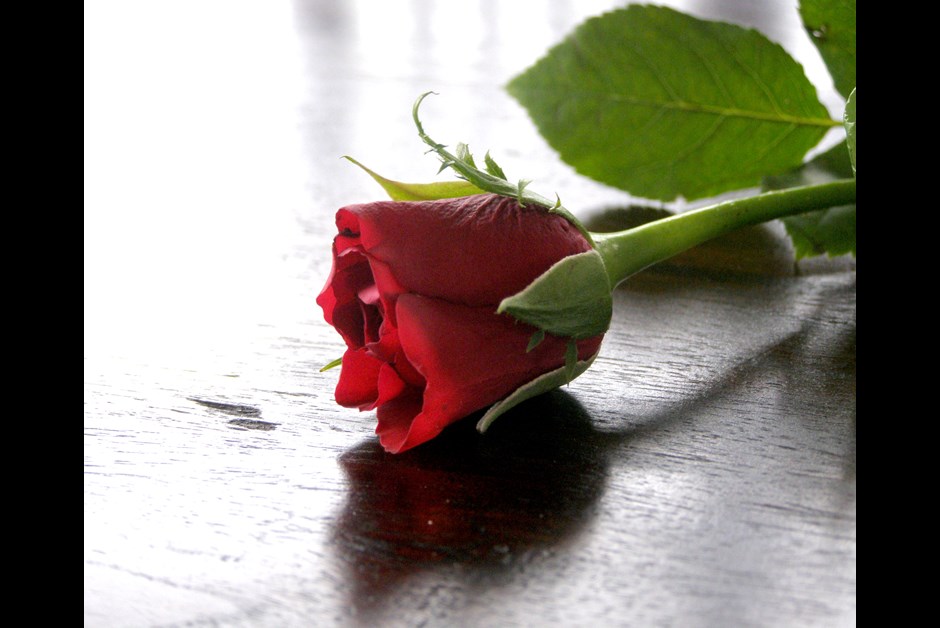 Make the most of your Valentines – loved up or living single!