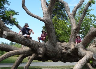 What to to in the Fairmont Waterfront when the lights are out...