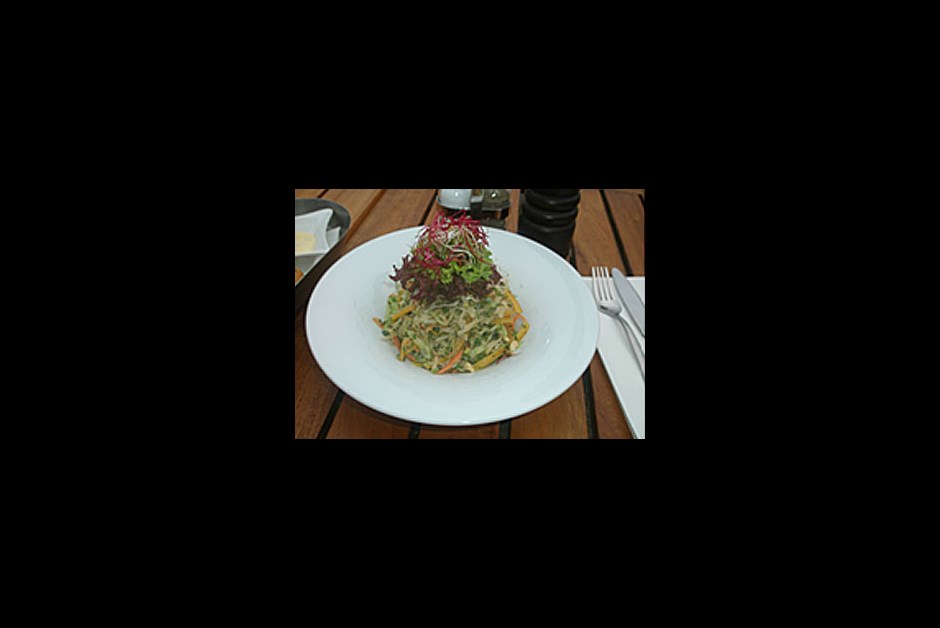 Healthy Lifestyle Salad