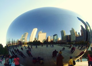 the bean