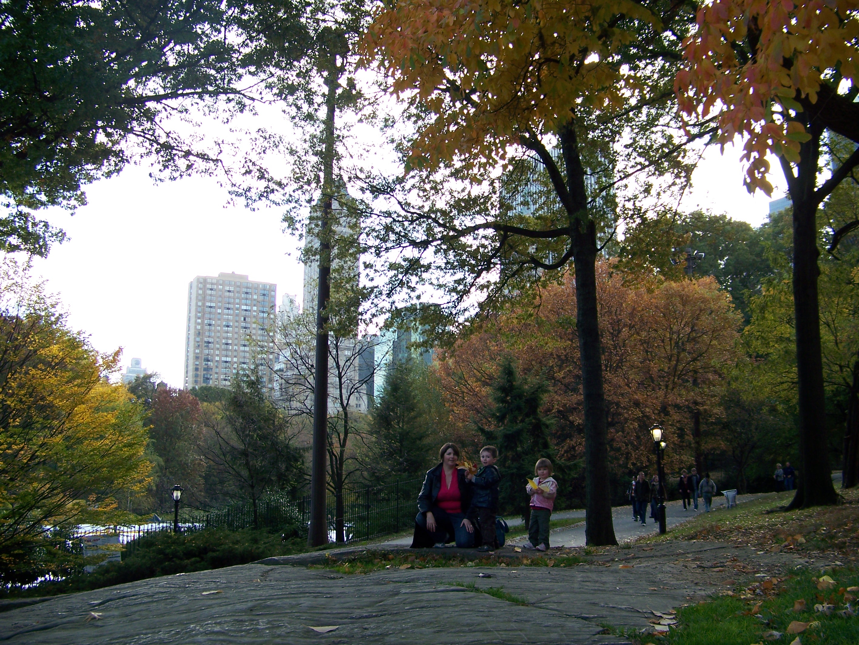 collect ye oak leaves while ye may...