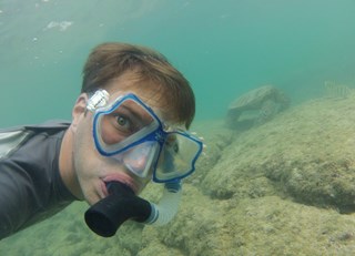 Swimming with Sea Turtles at the Orchid