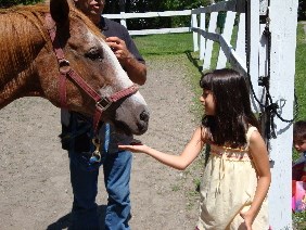 meeting mirabel