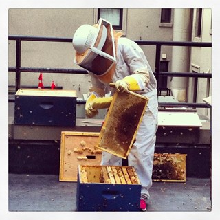 See What the BUZZ is All About