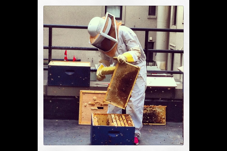 See What the BUZZ is All About
