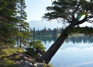 Early Morning Walk on Lake Boisvert