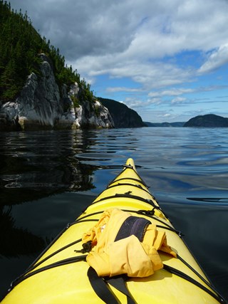 Morning Whale Watching