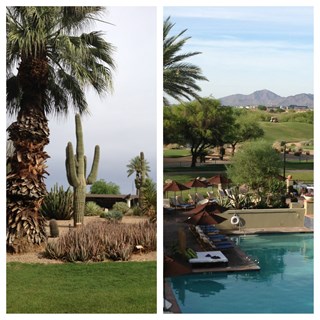 Relax at the Fairmont Princess!