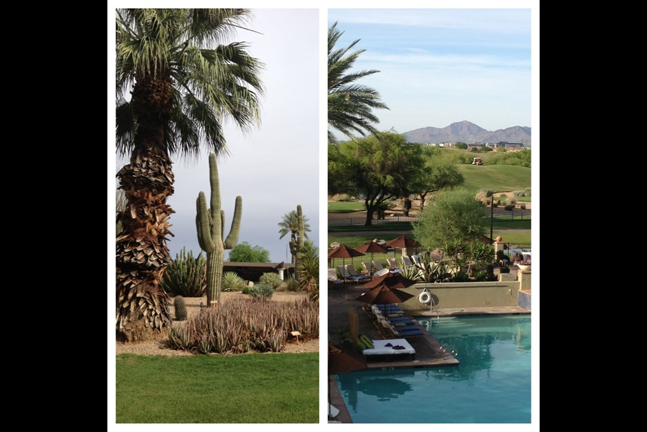 Relax at the Fairmont Princess!