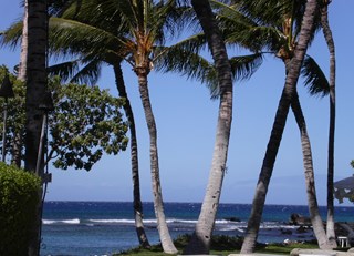 Oceanside Fairmont Orchid, Kohala Coast, Hawaii