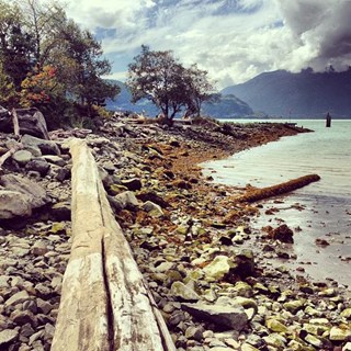 Journey to Self Discovery